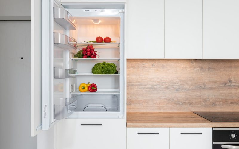 fridge with different vegetable in modern kitchen