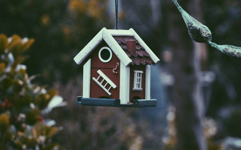 closeup photo of red and white bird house