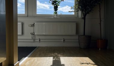 a tree casts a shadow on a wooden floor