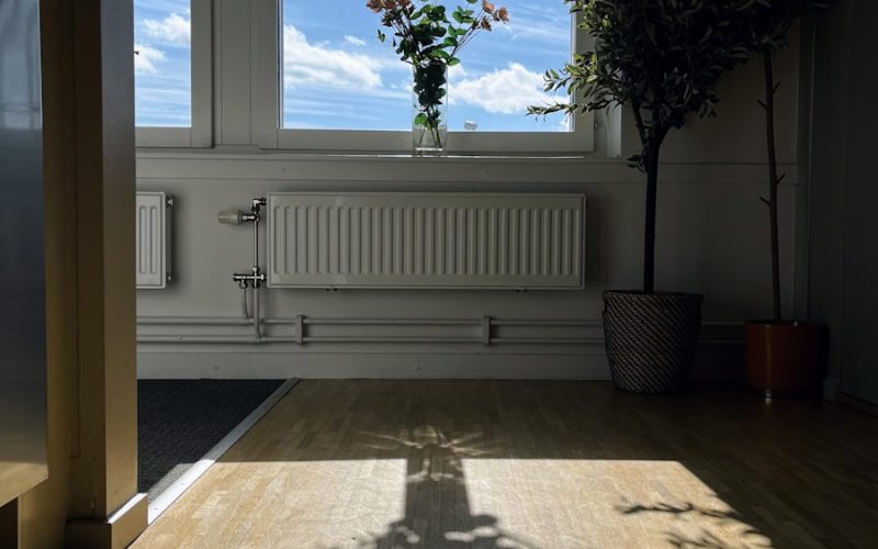 a tree casts a shadow on a wooden floor