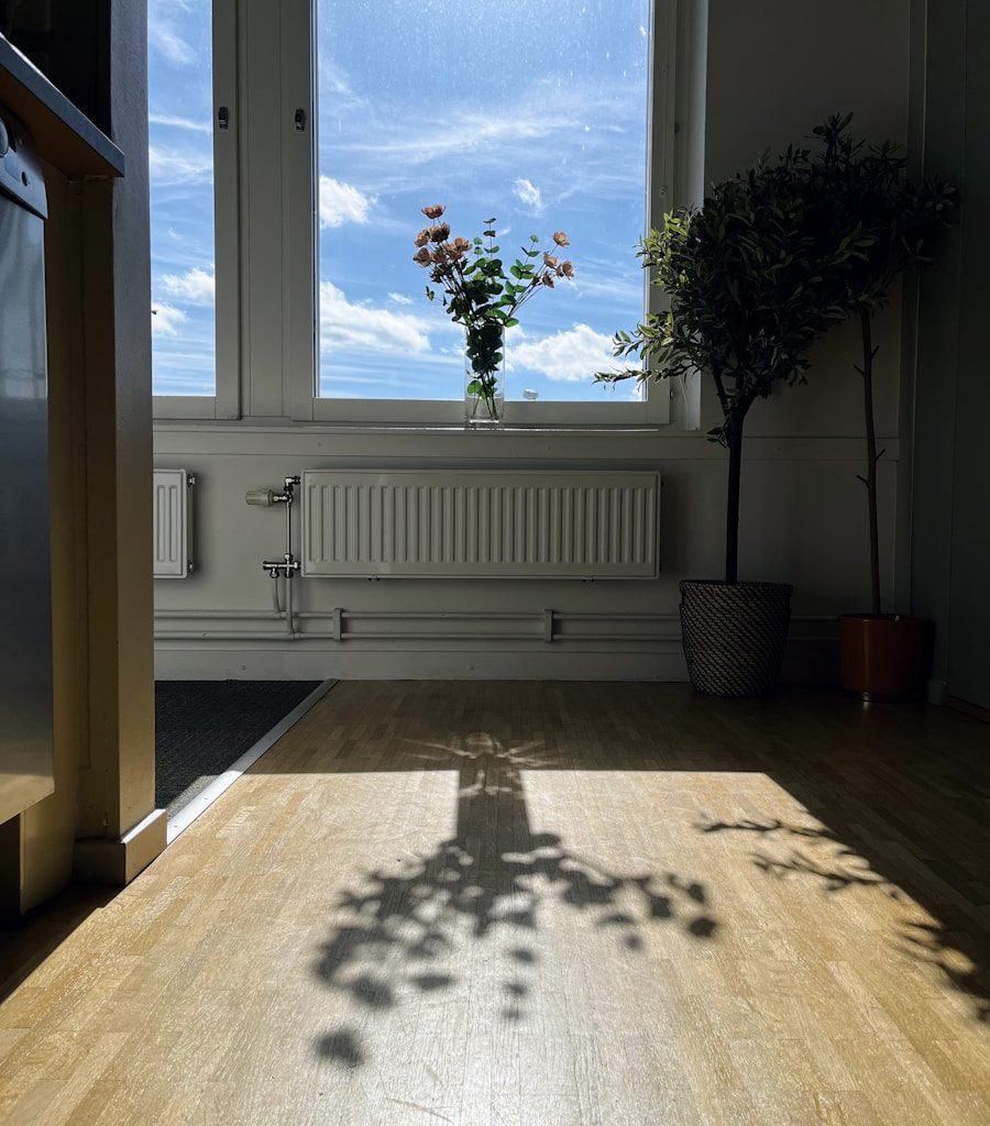 a tree casts a shadow on a wooden floor