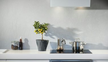 silver pot on top of induction oven